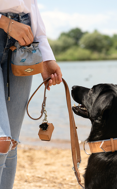 JEGGO Accessoires für Hunde