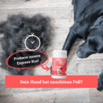 Balduins BeG Buddy Fell-Express – Zusatzfutter für Hunde, bei Hautirritationen oder stumpfem Fell – Bild 6