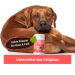 Balduins BeG Buddy Fell-Express – Zusatzfutter für Hunde, bei Hautirritationen oder stumpfem Fell – Bild 3
