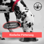 Balduins BeG Buddy Fell-Express – Zusatzfutter für Hunde, bei Hautirritationen oder stumpfem Fell – Bild 2