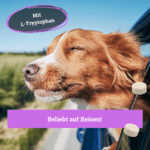 Balduins BeG Buddy Coolness-Drops – für alle Hunde, ideal bei Lärm, Gewitter, Autofahrten... – Bild 3