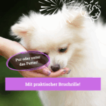 Balduins BeG Buddy Coolness-Drops – für alle Hunde, ideal bei Lärm, Gewitter, Autofahrten... – Bild 4